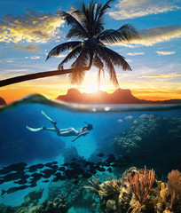 Wall Mural - Woman snorkeling in clear tropical waters ocean on sunset day