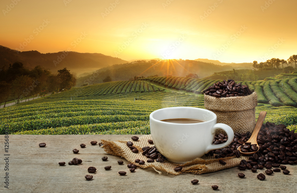 Hot Coffee cup with Coffee beans on the wooden table and the plantations background - obrazy, fototapety, plakaty 