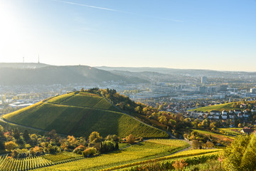 Vineyards at Stuttgart - beautiful wine region in the south of Germany