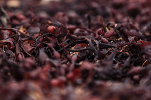 Surface Of Red Seaweed Closeup. Alga Background.