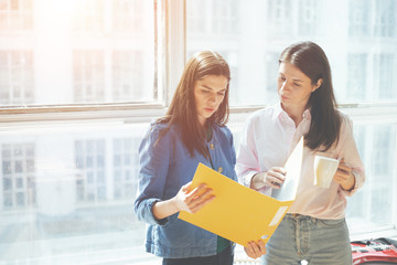 Fototapete - Two women discussing working plan in office. Big bright window behind