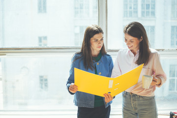Fototapete - Two women discussing new working plan in office. Big bright window behind