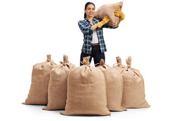 Wall Mural - Female agricultural worker behind burlap sacks and holding a sac