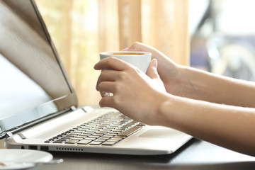 Poster - Girl hands with coffee watching laptop