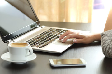 Wall Mural - Lady hand browsing a laptop at home