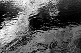 Fototapeta Kwiaty - Black and white Water in river.