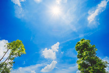 Natural Sun Flare With Blue Sky, White Clouds And Green Leaves