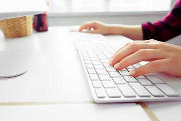 Hands of an office woman typing