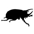 vector illustration black silhouette of rhinoceros beetle