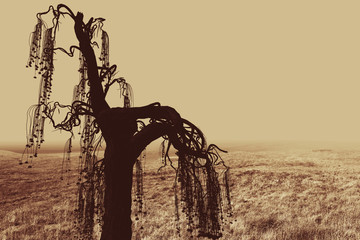 Wall Mural -  Horror Spooky Tree Dark Night .