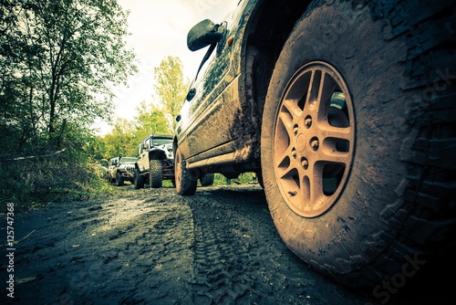 Fotografia  OffRoad Forest Expedition