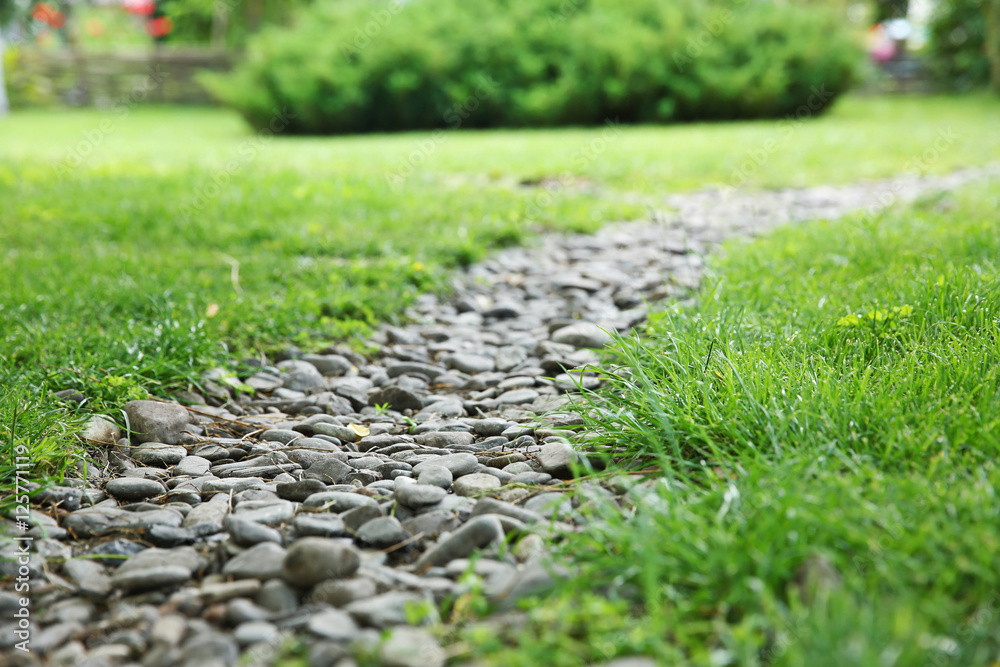 Stone footpath on a grass