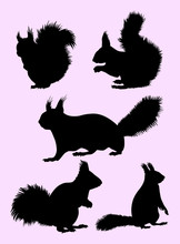 Squirrel Animal Gesture Silhouette. Good Use For Symbol, Logo, Web Icon, Mascot, Sign, Or Any Design You Want.