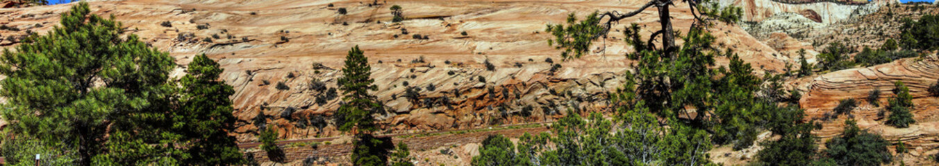 Wall Mural - Patterns in the sandstone strata