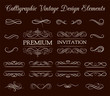 Vintage ornate frames, decorative ornaments, flourish and scroll elements. Invintation Design Eelements