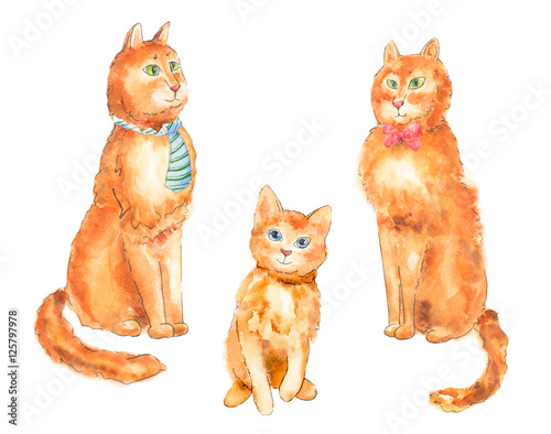 wallpapers Orange Cartoon Cat With Blue Bow Tie adobe stock