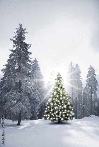 Fotomural Árbol de Navidad en el bosque cubierto de nieve