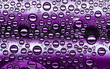 White And Purple Water Drops - Condensation, Close  Up