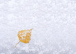 Beautiful silver background snow texture with snow flakes and yellow leaf.