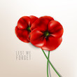 Remembrance day - 11 November - lest we forget - Veterans day
