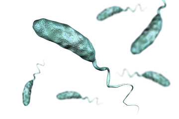 Sticker - Vibrio cholerae bacterium isolated on white background, 3D illustration. Bacterium which causes cholera