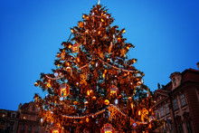 Christmas Tree In Prague