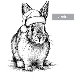 Rabbit, black and white engrave. Christmas hat. Vector