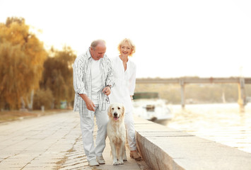 Wall Mural - Senior couple and big dog walking on bund