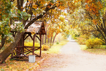 Canvas Print - Long pathway in autumn park