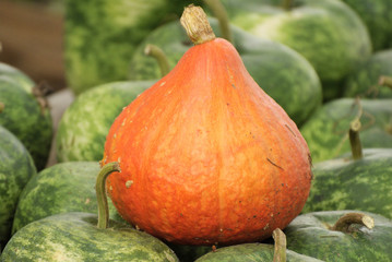 Pumpkin at Halloween market