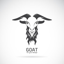 Vector Of A Goat Head Design On White Background. Animals.