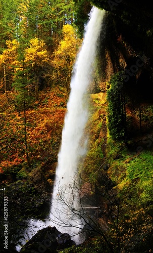 silver-falls-jesienia
