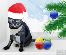 Realistic Cat. Beautiful Gray. Merry Christmas And A Happy New Year. Santa Hat For Your Design.