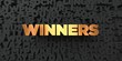 Winners - Gold text on black background - 3D rendered royalty free stock picture. This image can be used for an online website banner ad or a print postcard.
