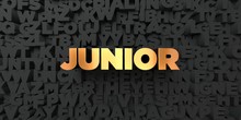 Junior - Gold Text On Black Background - 3D Rendered Royalty Free Stock Picture. This Image Can Be Used For An Online Website Banner Ad Or A Print Postcard.