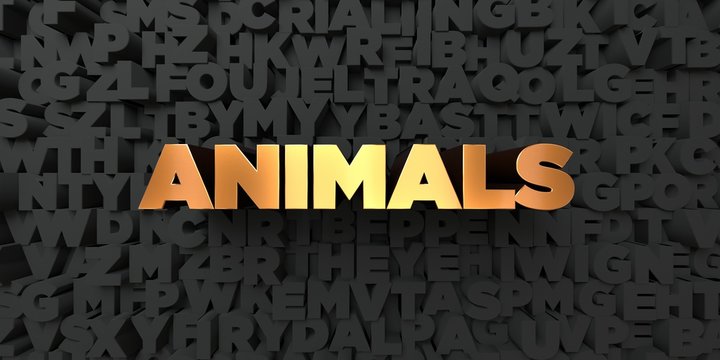 Animals - Gold text on black background - 3D rendered royalty free stock picture. This image can be used for an online website banner ad or a print postcard.