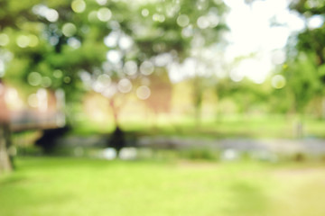 Wall Mural - defocused bokeh background of  garden trees in sunny day