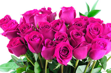 Fotomurales - bouquet of purple roses