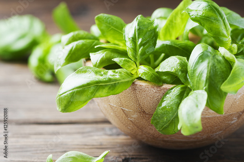 Fotografía Fresh green basil on the table