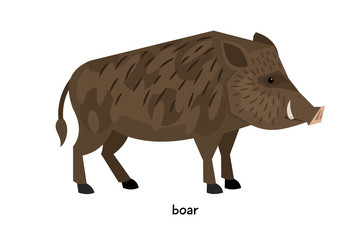 thick wild boar standing