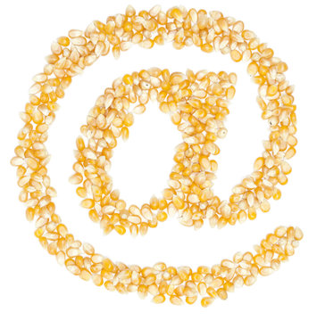corn