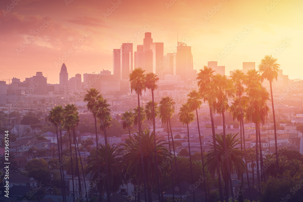 Los Angeles hot sunset view with palm tree and downtown in background. California, USA - obrazy, fototapety, plakaty 