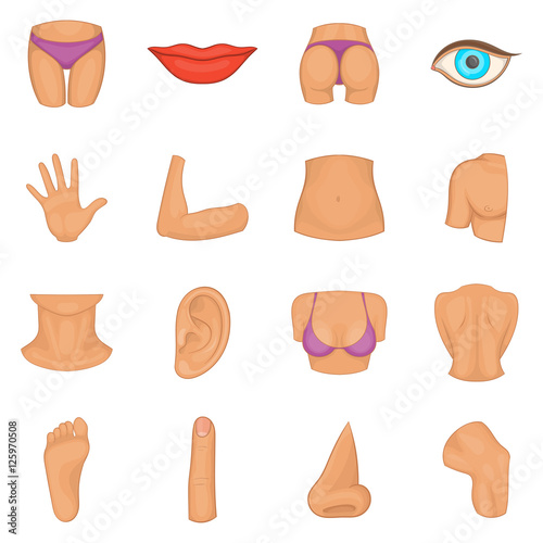 Body parts icons set. Cartoon illustration of 16 body parts vector