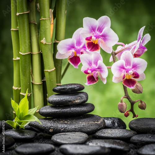 Fototapeta na wymiar spa still life with zen basalt stones ,orchid and bamboo