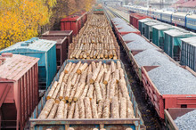 Environment, Nature And Deforestation Forest - Felling Of Trees. The Concept Of A Global Problem. Freight Train Loaded With Pine Trunks.