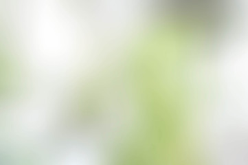 Wall Mural - texture blur color greenlight style , background sunlight abstra