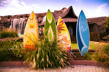 Colorful surfboards.