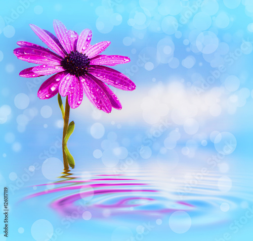 salud y belleza natural