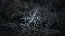 Snowflake Glowing On Dark Gray Wool Background. This Is Macro Photo Of Real Snow Crystal: Large Stellar Dendrite With Big Central Hexagon And Six Ornate Arms With Side Branches. Horizontal Version.