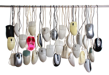 Hanging computer mice isolated on white background